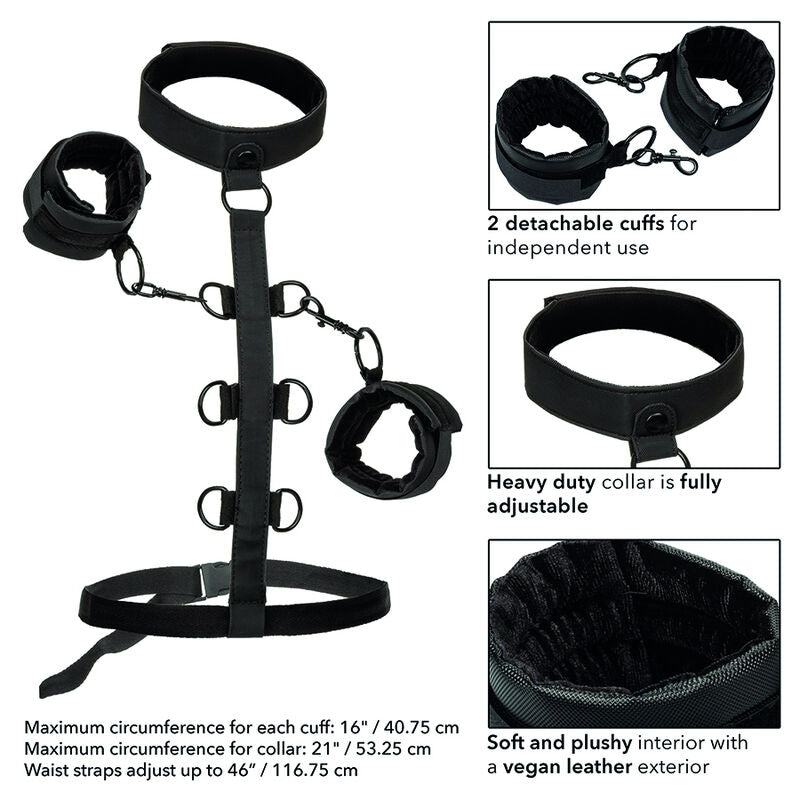 CALEXOTICS - BOUNDLESS SUJECCIÓN DEL CUERPO Y EL CUELLO