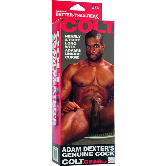 CALEXOTICS - COLT PENE REALISTICO ADAM DEXTER