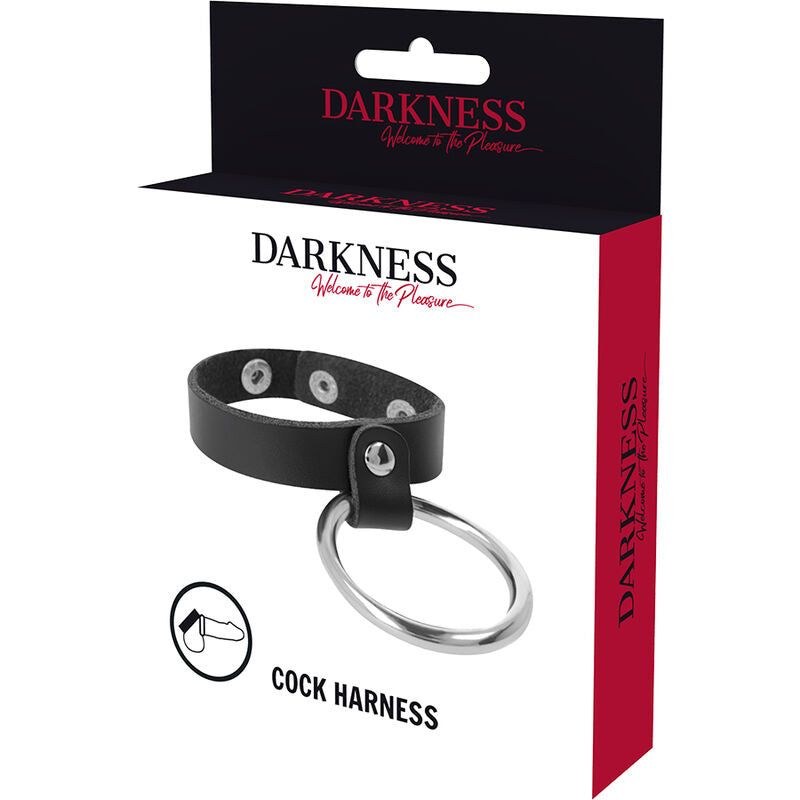 DARKNESS - ANILLO DE METAL PARA EL PENE Y TESTÍCULOS